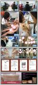 Blonde hair Real Sex Doll implant Pubic Hair 157 cm Lifelike Beautiful Artificial Hairy Vagina Sex Doll for men invented by automaticwoman